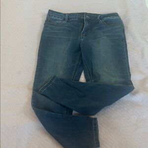 Stylish Blue Women's Skinny jeggings